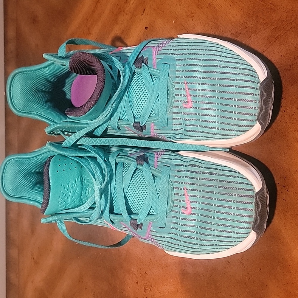 Nike Lebron Witness 6
